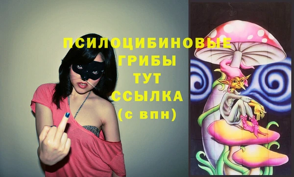 стафф Балахна