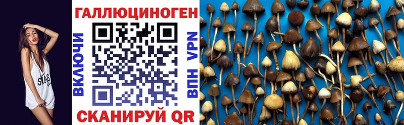 Галлюциногенные грибы Psilocybine cubensis  Лесной 